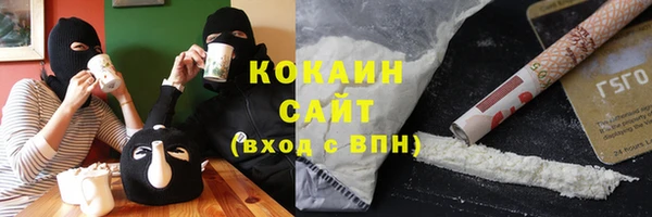 стафф Коряжма