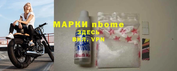 стафф Коряжма