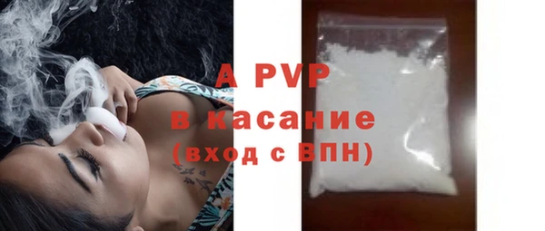 стафф Коряжма