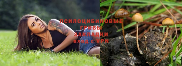 не бодяженный Корсаков
